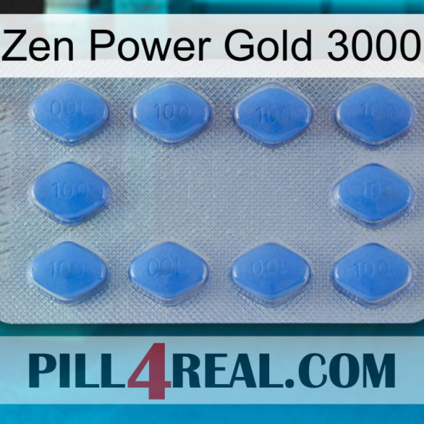 Zen Power Gold 3000 21.jpg